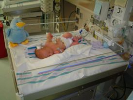 1931259_1052610245668_647_n