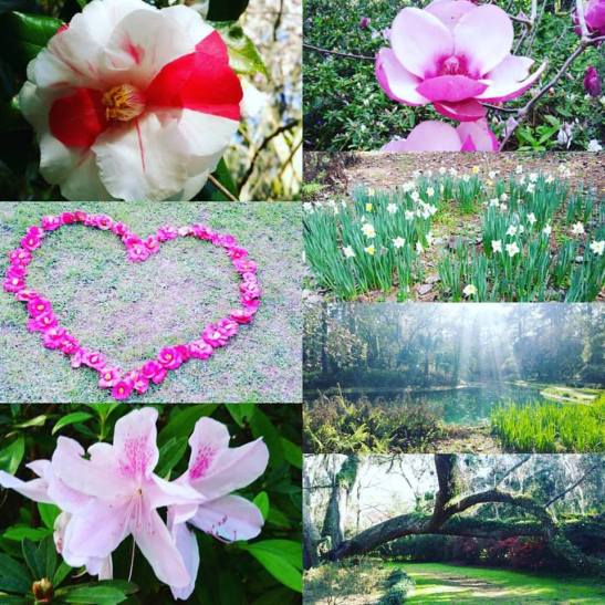 16711498_10212254935318721_8230650695732597397_n