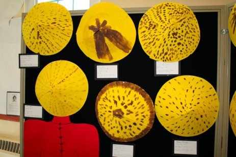 22655_1309228580966_3452035_n