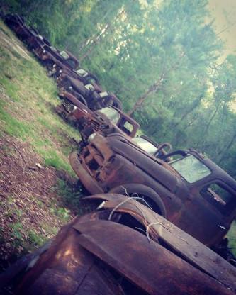 18118419_10212985058571346_4266747207787573556_n